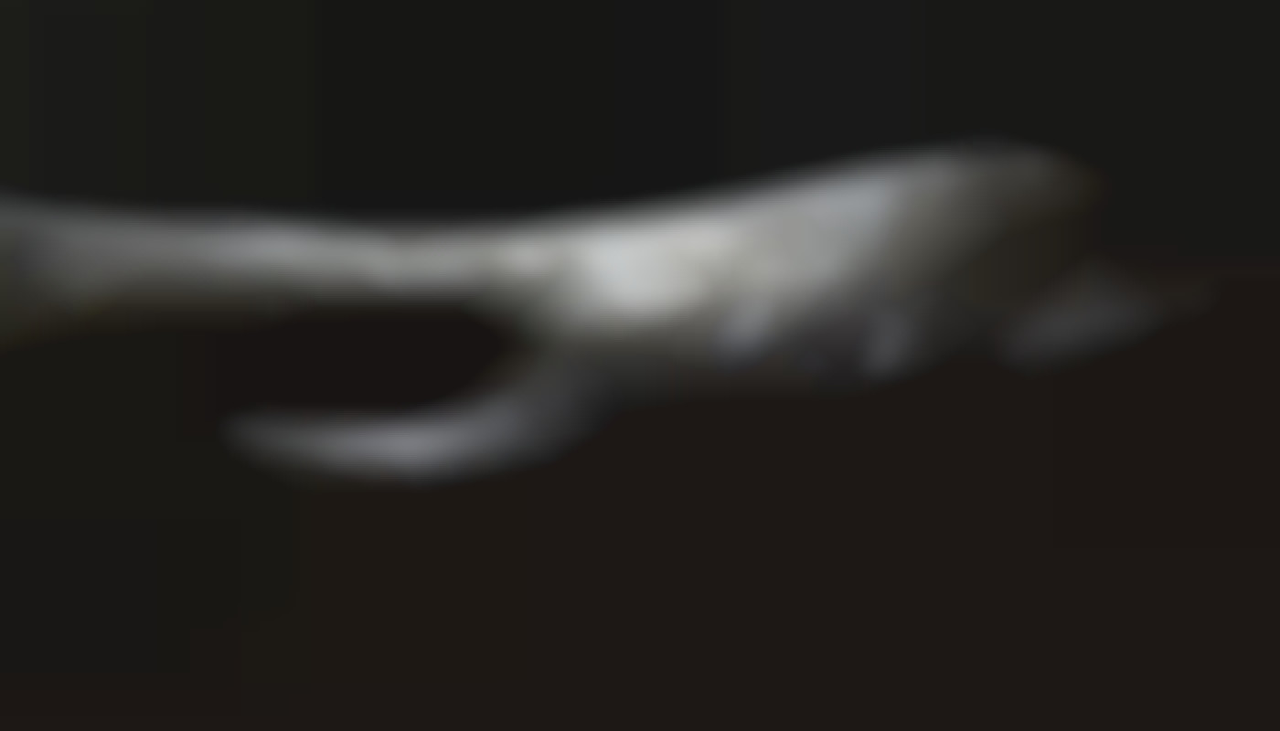 Exploration des avantages des performances live par des françaises passionnées